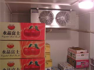 天柱县苹果水果蔬菜保鲜冷藏库建设与保鲜冷藏设备应用探讨